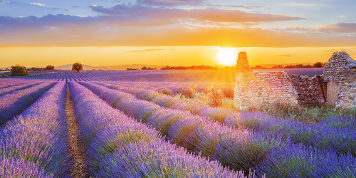 Dekor ve stylu Provence