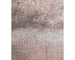 Krémová růže Dywan Softness 160x230cm