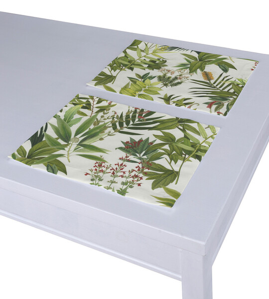 Set of 2 Placemats