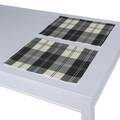 Set of 2 Placemats